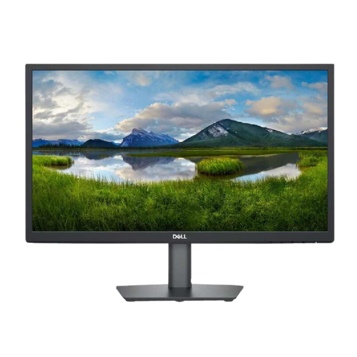 DELL  22 MONITOR  21.45